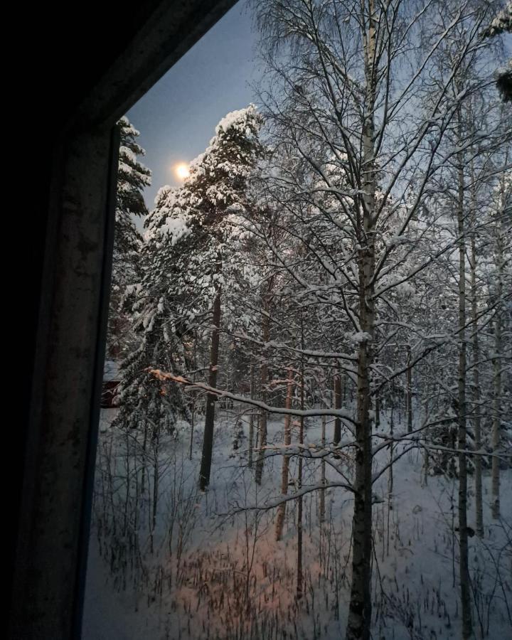 Room In Polar Circle روفانييمي المظهر الخارجي الصورة